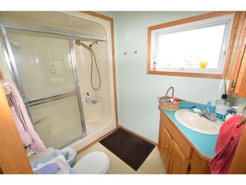 39403 Range Road 275, Rural Lacombe County, AB - Indoor Photo Showing Bathroom