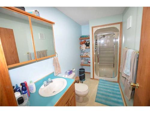 39403 Range Road 275, Rural Lacombe County, AB - Indoor Photo Showing Bathroom