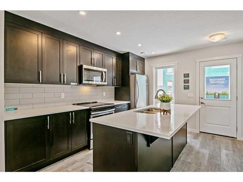 206-135 Mahogany Parade Se, Calgary, AB - Indoor Photo Showing Kitchen With Double Sink With Upgraded Kitchen