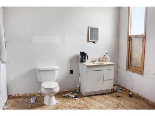 110 Lady Vivian Avenue East, Galahad, AB - Indoor Photo Showing Bathroom