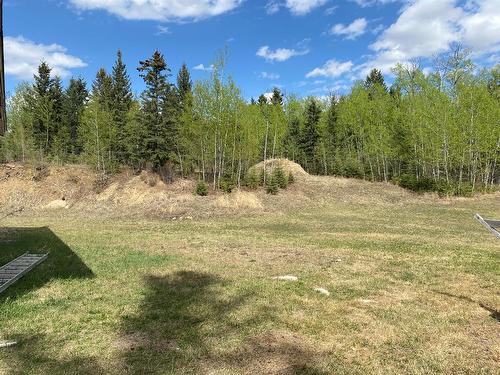 437 Lobstick Trail, Leslieville, AB - Outdoor With View