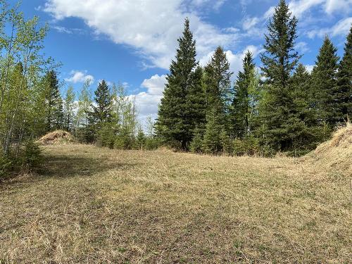 437 Lobstick Trail, Leslieville, AB - Outdoor With View