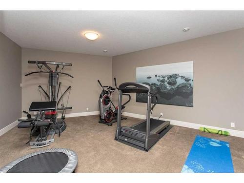 41216 Range Road 274, Rural Lacombe County, AB - Indoor Photo Showing Gym Room