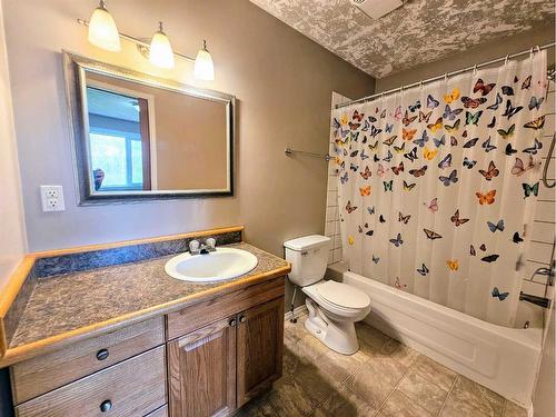 1209 12 Street Se, Slave Lake, AB - Indoor Photo Showing Bathroom
