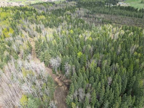 Twp Rd 463, Rural Wetaskiwin No. 10, County Of, AB 