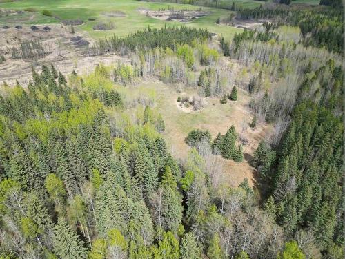 Twp Rd 463, Rural Wetaskiwin No. 10, County Of, AB 