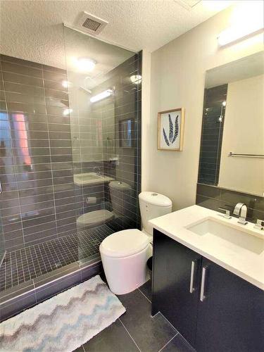 205-2717 17 Street Sw, Calgary, AB - Indoor Photo Showing Bathroom