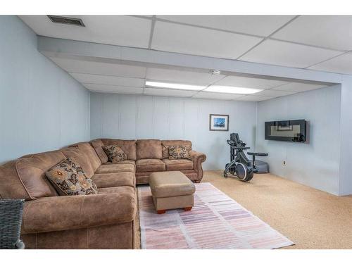 210 Lady Vivian Avenue West, Galahad, AB - Indoor Photo Showing Basement