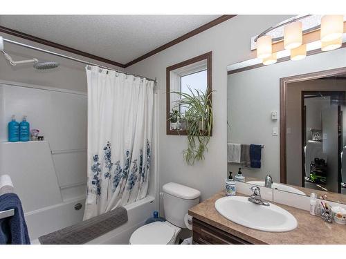 101-41310 Range Road 282, Rural Lacombe County, AB - Indoor Photo Showing Bathroom