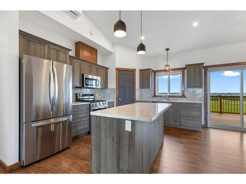 156 Bruhn Boulevard, Rural Ponoka County, AB - Indoor Photo Showing Kitchen With Stainless Steel Kitchen With Upgraded Kitchen