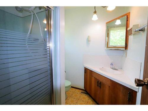 43231 Range Road 220, Rural Camrose County, AB - Indoor Photo Showing Bathroom