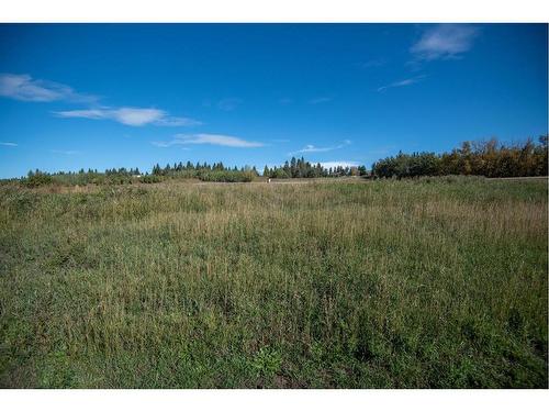 152-27111 597 Highway, Rural Lacombe County, AB 