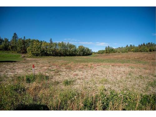 152-27111 597 Highway, Rural Lacombe County, AB 