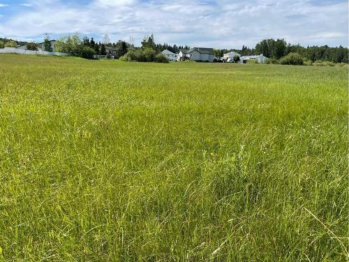 5002 50 St, Rural Brazeau County, AB 