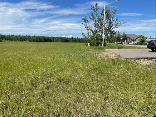 5002 50 St, Rural Brazeau County, AB 