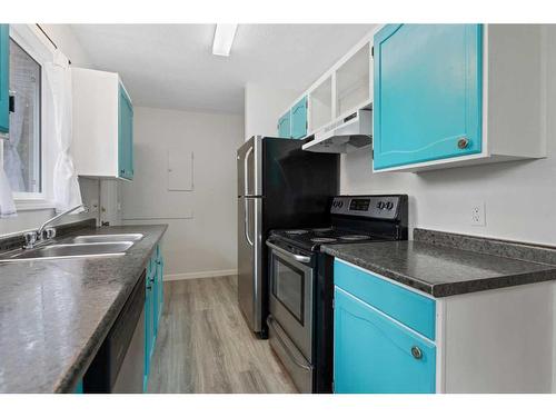 4806A 48 Avenue, Forestburg, AB - Indoor Photo Showing Kitchen With Double Sink