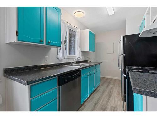 4806A 48 Avenue, Forestburg, AB - Indoor Photo Showing Kitchen With Double Sink