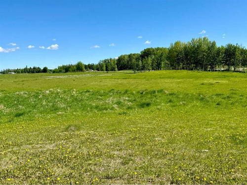 374072 Range Road 4-3, Rural Clearwater County, AB 