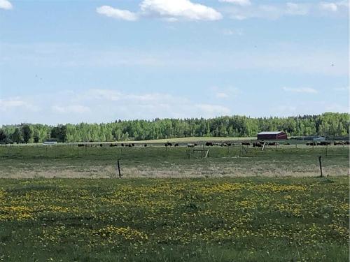 Township Road 40-0, Rural Clearwater County, AB 