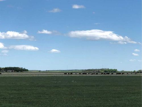 Township Road 40-0, Rural Clearwater County, AB 
