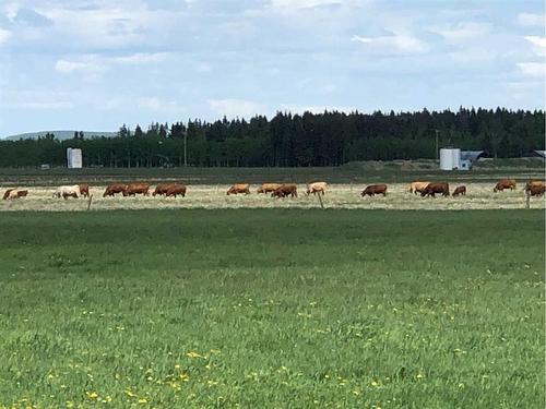 Township Road 40-0, Rural Clearwater County, AB 