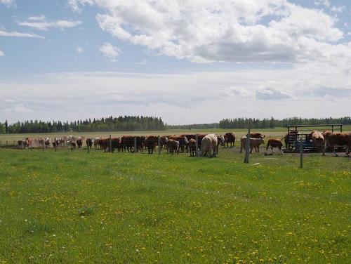 Township Road 40-0, Rural Clearwater County, AB 