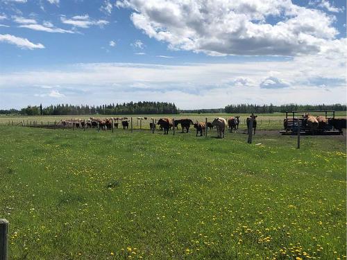 Township Road 40-0, Rural Clearwater County, AB 