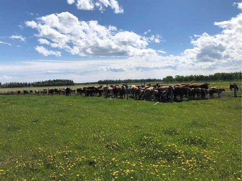 Township Road 40-0, Rural Clearwater County, AB 