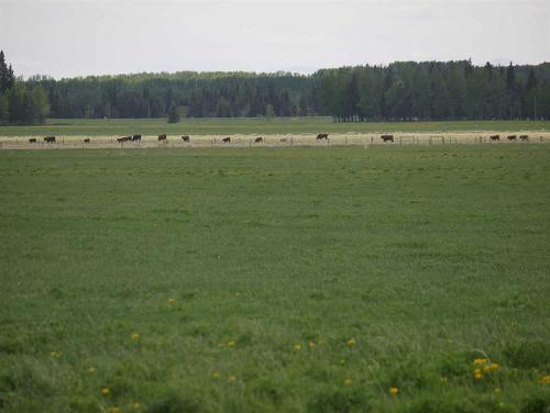 Township Road 40-0, Rural Clearwater County, AB 