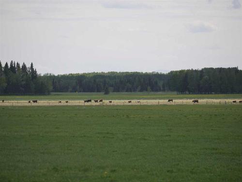 Township Road 40-0, Rural Clearwater County, AB 