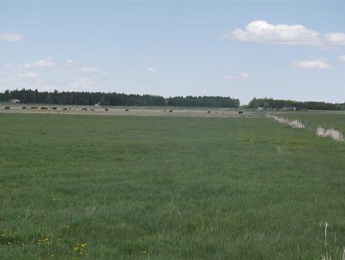 Township Road 40-0, Rural Clearwater County, AB 