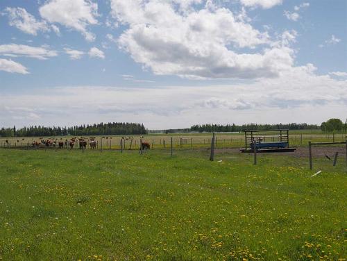 Township Road 40-0, Rural Clearwater County, AB 