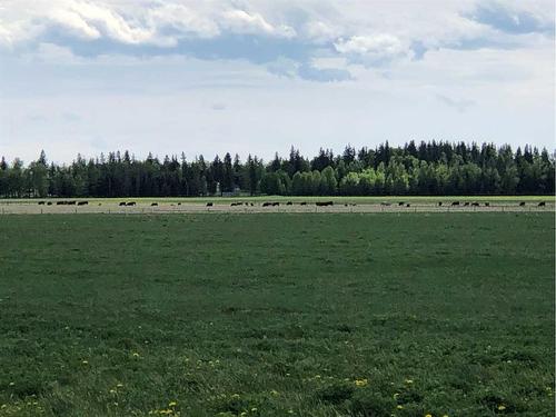 Township Road 40-0, Rural Clearwater County, AB 