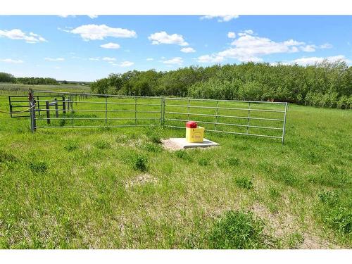 415008 Range Road 82, Rural Provost No. 52, M.D. Of, AB - Outdoor With View