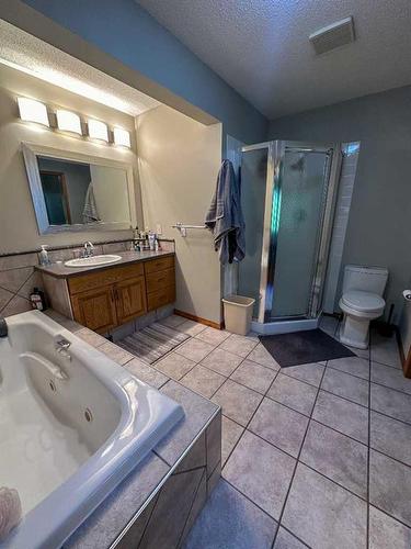 81073 Old Highway 11A, Rural Clearwater County, AB - Indoor Photo Showing Bathroom