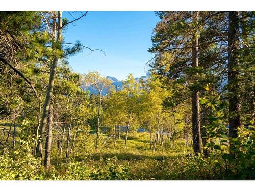 3071 Tecumseh Road, Rural Crowsnest Pass, AB 