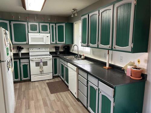 5404 48 Avenue West, Forestburg, AB - Indoor Photo Showing Kitchen With Double Sink