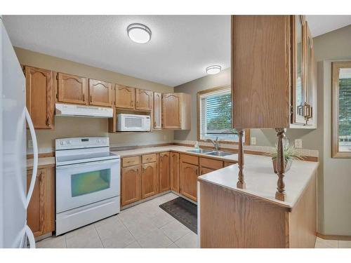 101 Gilbert Crescent, Red Deer, AB - Indoor Photo Showing Kitchen With Double Sink