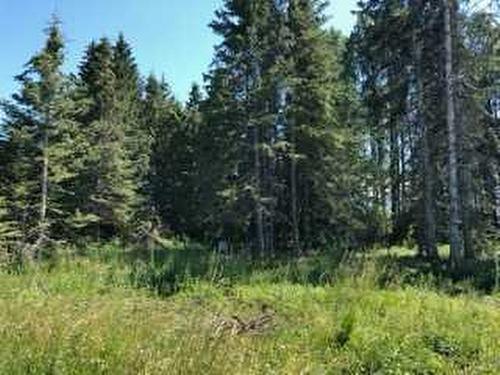 393002 Range Road 6-0, Rural Clearwater County, AB 