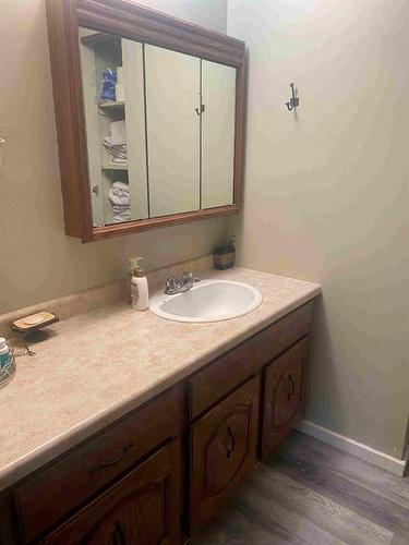 48214 Rr 42, Rural Brazeau County, AB - Indoor Photo Showing Bathroom