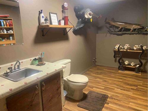 48214 Rr 42, Rural Brazeau County, AB - Indoor Photo Showing Bathroom