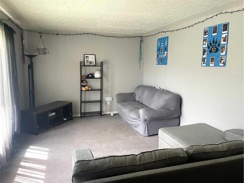 5344 43 Avenue, Red Deer, AB - Indoor Photo Showing Living Room