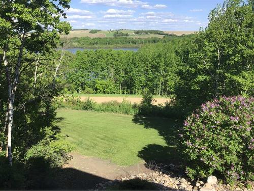 322-44101 Rnge Road 214 Beaver Road, Rural Camrose County, AB - Outdoor With View