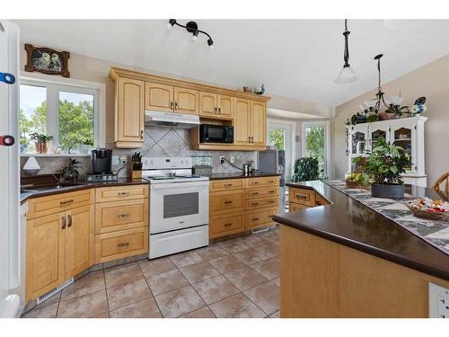 21565 Township Road 492, Rural Camrose County, AB - Indoor Photo Showing Kitchen With Double Sink