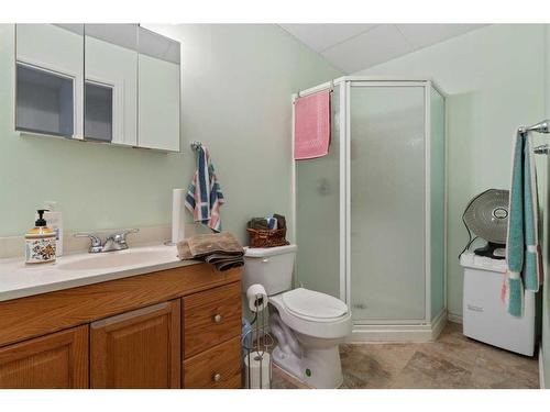 21565 Township Road 492, Rural Camrose County, AB - Indoor Photo Showing Bathroom