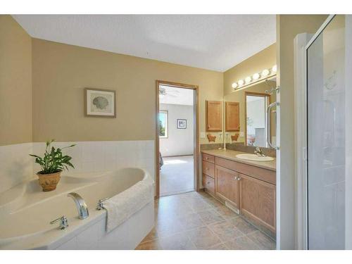 442 Jenkins Drive, Red Deer, AB - Indoor Photo Showing Bathroom