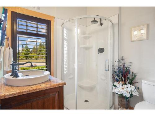 38041 Range Road 253, Rural Red Deer County, AB - Indoor Photo Showing Bathroom