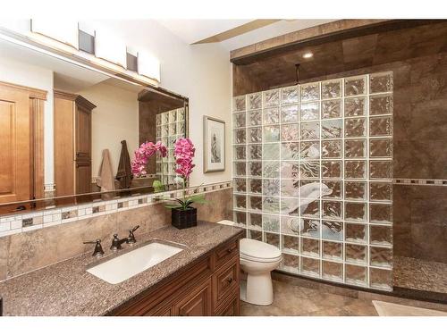 38423 Range Road 282, Rural Red Deer County, AB - Indoor Photo Showing Bathroom