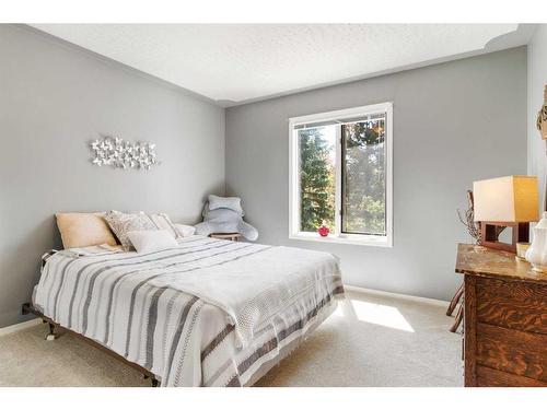 187-28342 Twp Road 384, Rural Red Deer County, AB - Indoor Photo Showing Bedroom