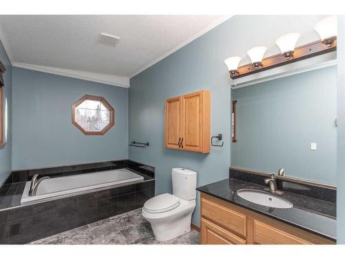 234-28302 Highway 12A, Rural Lacombe County, AB - Indoor Photo Showing Bathroom